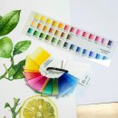 [성인] 색연필로 그리는 꽃 그림 보태니컬 아트 이미지