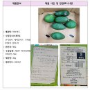 주식회사 로프레쉬
