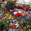 지사코인노래연습장 이미지