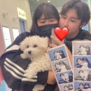 몽샤르망 애견유치원 이미지