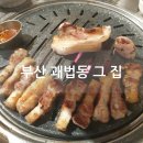 괘법동;그집 이미지