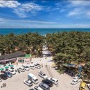 솔향기캠핑장 이미지