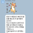 50% 확률을 뚫은 현직 변호사 / 합격 자소서 무료 배포 이미지