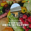 인터뷰 04] 부여의 공공급식을 책임진다 / 부여 친환경농업인 유통지원 사업단 영농조합법인 / 김정은 대표