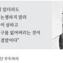 사망시 카드대금 다 내야 하나요 이미지