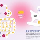 혜화약국 이미지