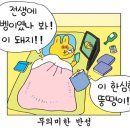 위가네 이미지