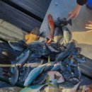 남해바다 펜션 이미지