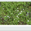 광교산생태학교 이미지