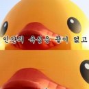 쿠팡 고양1센터 OB - 2 후기쓰