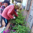 성동리 경로당 이미지