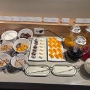 호텔하루 | 물치해변 오션뷰에서의 하루, 다이아메르호텔속초 후기