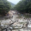 더 맑은 민박 이미지