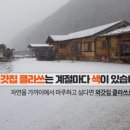 촌캉스독채외갓집 이미지