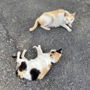 탕춘대 화장실 네이버블로그