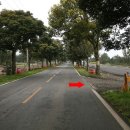 표선 교차로 4 이미지