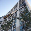 금창유리 이미지