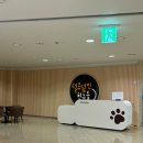 블링펫 | 경주 강아지랑 가볼 만한 곳 추천! 키녹호텔 실내 놀이터 내부 편의시설 후기