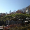 삼성동-11 이미지