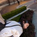 주식회사레피다리조트 | 부진아 투어 in 나트랑 (베나자 ㄹㅇ후기)