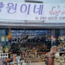 향원이네다육