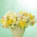 카라flower 이미지