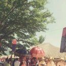 태풍은불어도철가방은간다 이미지