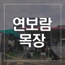 똘똘이목장3 네이버블로그