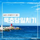 천곡농장 | [강원 묵호] 묵호 당일치기 혼자 여행 (묵호 물회, 묵호 당일치기, 혼밥, 혼술, 논골담길, 고양이)