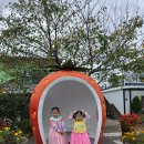 라피네펜션 | 파주 프로방스마을 아이와 다녀온 후기(주차)