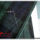 양재(기초) 이미지