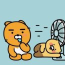 📢 08월 04일 월요일 하레하레 18:00 ~ 22:00 대관안내 알려드립니다. 이미지