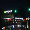 우담채 이미지