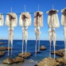 바다의별팬션 이미지