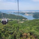 물고기태양광발전소 이미지