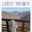 스타트 카 | 정읍 내장산 케이블카 후기 | 아이와 방문 주차 요금 대기시간 정리