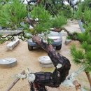 노송농원 이미지