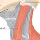 서울턱구강내과치과의원 이미지