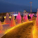 크리스마스 트리 축제 | 울산 간절곶 빛축제 크리스마스트리 주말 방문 후기(주차, 정보)