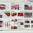 화천돌배즙
