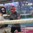 골든보이복싱체육관 이미지