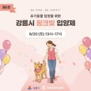 강릉 핑크빛 입양제 다녀온 후기/유기견 입양하세요~