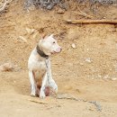 한상태농장 이미지