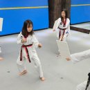 이룸태권도장 이미지