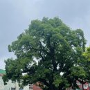 신현동-7 이미지