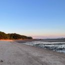 5.5월강화도 광성보ㆍ민머루해변ㆍ보문사 해풍에 젖어ㆍ꽃향기 맡으며 산책 이미지