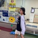 2959 | 아디다스 가젤 인도어 옐로우 핑크 [IE2959] 봄 여름 포인트 컬러템 내돈내산 리뷰