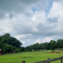 평안목장 이미지