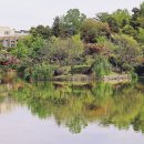 건국대학교 티스토리