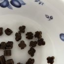 네잎크로버 소프트 이미지